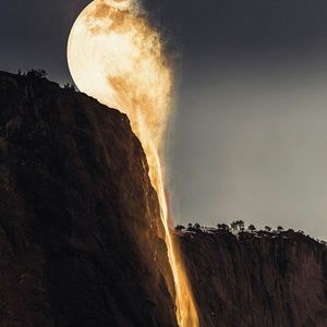 Meet your Posher, Benny